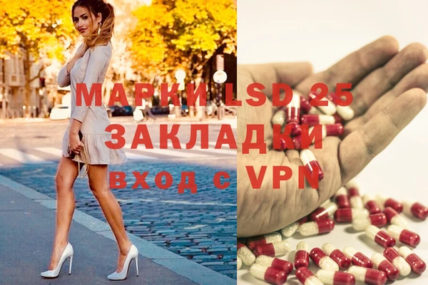 ГАЛЛЮЦИНОГЕННЫЕ ГРИБЫ Белокуриха