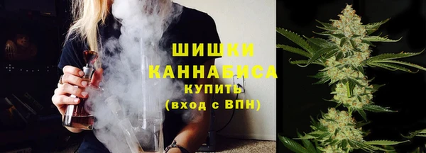 ГАЛЛЮЦИНОГЕННЫЕ ГРИБЫ Белокуриха