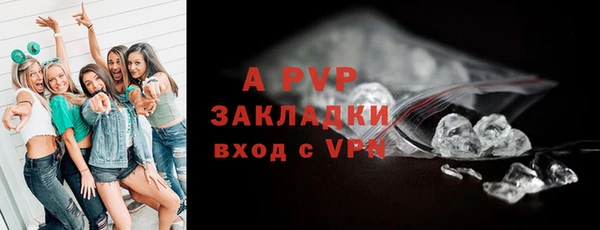 ГАЛЛЮЦИНОГЕННЫЕ ГРИБЫ Белокуриха