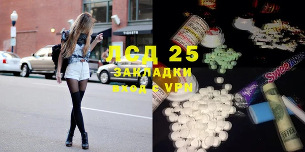 ГАЛЛЮЦИНОГЕННЫЕ ГРИБЫ Белокуриха